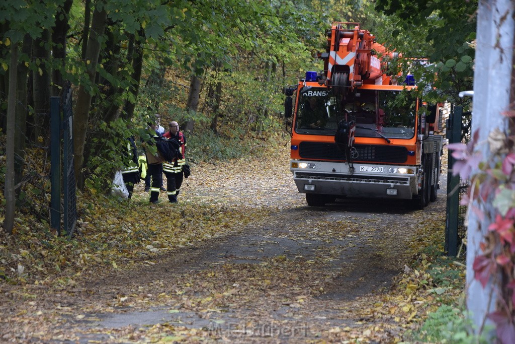 Einsatz BF Koeln PKW im See Koeln Esch P256.JPG - Miklos Laubert